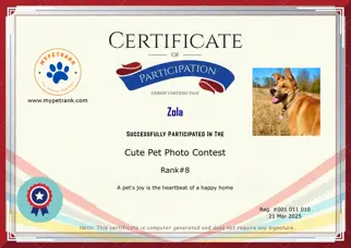 Certificate Preview