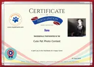 Locked Certificate Preview