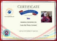 Locked Certificate Preview