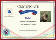 Locked Certificate Preview