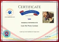Locked Certificate Preview