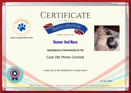 Locked Certificate Preview