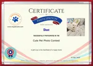 Locked Certificate Preview
