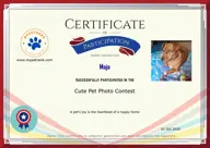 Locked Certificate Preview