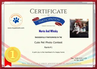 Certificate Preview