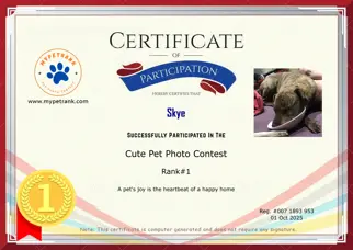 Certificate Preview