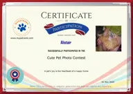 Locked Certificate Preview