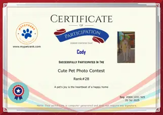 Certificate Preview