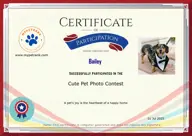 Locked Certificate Preview