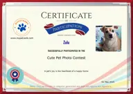 Locked Certificate Preview