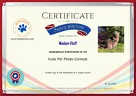 Locked Certificate Preview