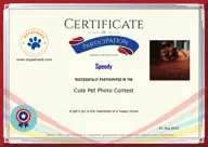 Locked Certificate Preview