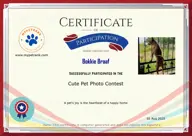 Locked Certificate Preview