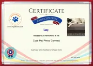 Locked Certificate Preview