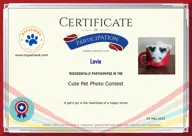 Locked Certificate Preview