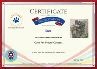 Locked Certificate Preview