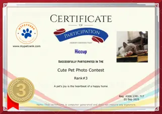 Certificate Preview