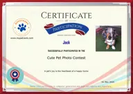 Locked Certificate Preview
