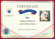 Locked Certificate Preview
