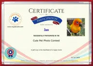 Locked Certificate Preview