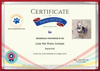 Certificate Preview