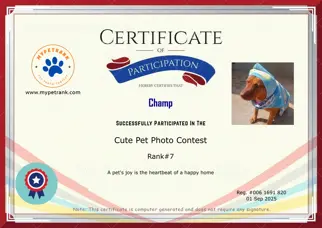 Certificate Preview