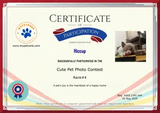 Certificate Preview