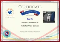 Locked Certificate Preview