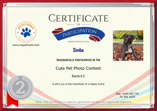 Certificate Preview