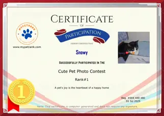 Certificate Preview