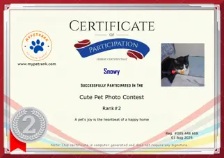 Certificate Preview
