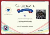 Locked Certificate Preview