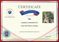 Locked Certificate Preview