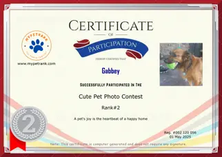 Certificate Preview