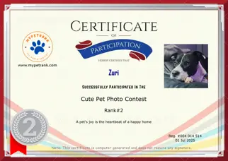 Certificate Preview