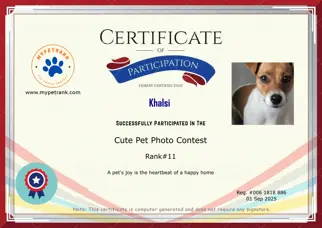 Certificate Preview