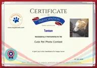 Locked Certificate Preview