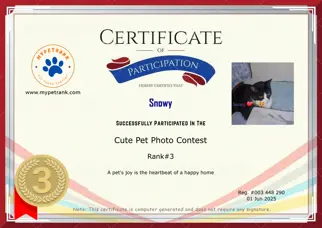 Certificate Preview