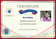Locked Certificate Preview