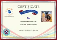 Locked Certificate Preview