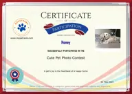 Locked Certificate Preview