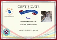 Locked Certificate Preview