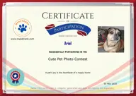 Locked Certificate Preview