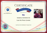 Locked Certificate Preview