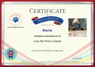 Locked Certificate Preview
