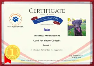 Certificate Preview