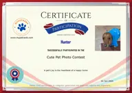 Locked Certificate Preview