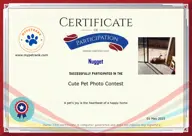 Locked Certificate Preview