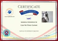 Locked Certificate Preview