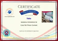 Locked Certificate Preview